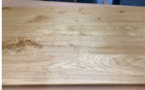 Asteiche Antik Natur Designertür Echt Holz 860 x 2110 mm links Abholung Nr.37