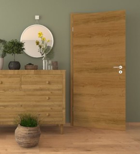 Asteiche Natur quer Designertür Echt Holz 860 x 2110 mm links Abholung Nr.38