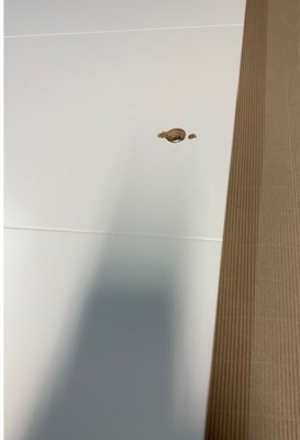 1B GORO Designtür Weißlack extra white 3.0 Links/Rechts Abholung an Bastler