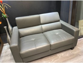 Sofa, Polster Garnitur 2-Sitzer ,verstellbarer Kopfstütze und Holzfüßen, Echtleder grau Muster Abholung