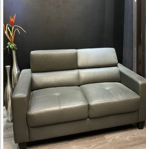 Sofa, Polster Garnitur 2-Sitzer ,verstellbarer Kopfstütze und Holzfüßen, Echtleder grau Muster Abholung