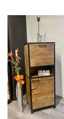 Hochrank Mumbai Mangoholz massiv mit Klappe und Tür 58x40x146 cm Muster Abholung