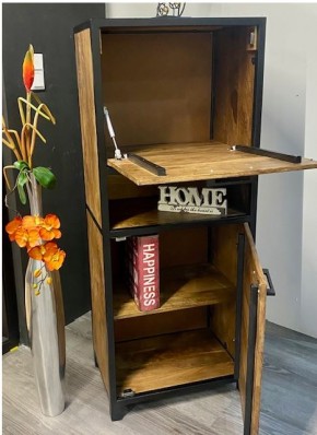 Hochrank Mumbai Mangoholz massiv mit Klappe und Tür 58x40x146 cm Muster Abholung