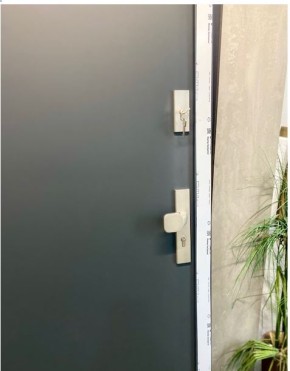 NOBE Eingangstür aus Aluminium und Stahl 980x2095mm Modern Graphite L Anschlag