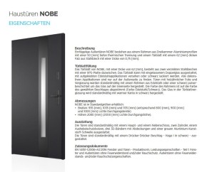 NOBE Eingangstür aus Aluminium und Stahl 980x1995mm Modern Graphite L Anschlag