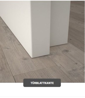 GORO Glas Designtür Weißlack extra white Links 860 x 1985 mm Nr.7